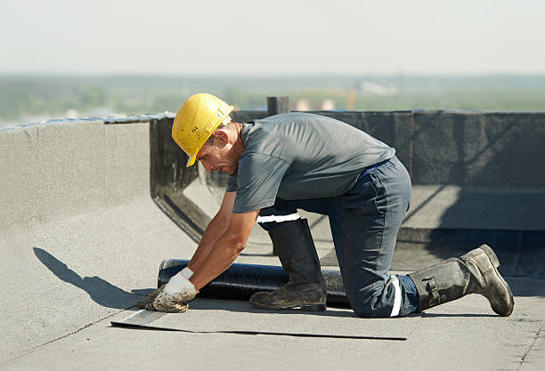 Best Insulation Maintenance and Repair in Rosemount, OH